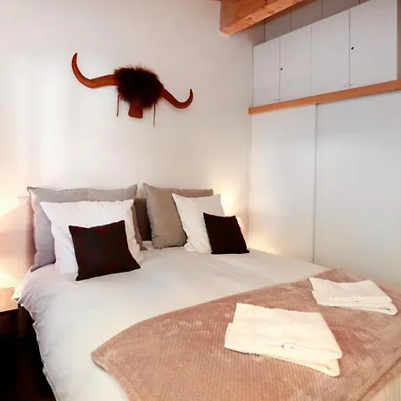 Superbe Deux Alpes Cosy Et Chaleureux 6 Personnes
