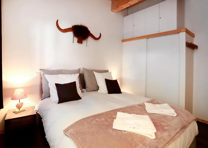 Superbe Deux Alpes Cosy Et Chaleureux 6 Personnes