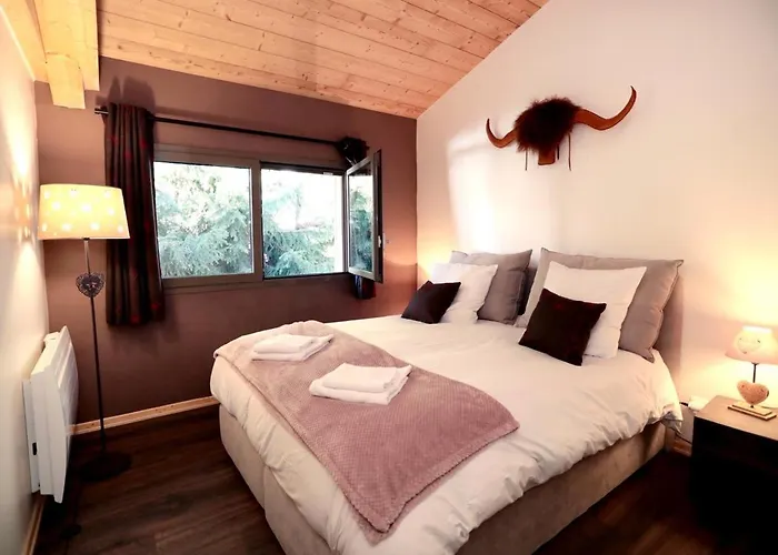 Apartament Superbe Deux Alpes Cosy Et Chaleureux 6 Personnes Les Deux Alpes